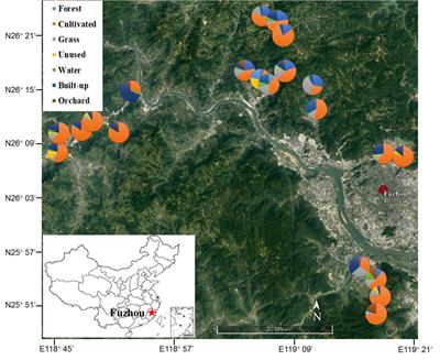 Fungal Endophyte Communities of Crucifer Crops Are Seasonally Dynamic and Structured by Plant Identity, Plant Tissue and Environmental Factors
